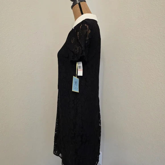 CeCe Black Lace Mini Dress with White Collar - Picture 2 of 5